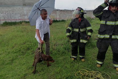 Bomberos de Toluca rescatan a lomito de un pozo profundo en Capultitlán